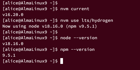 switching node.js version nvm