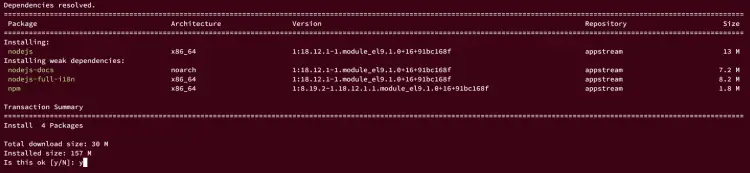 install node.js appstream