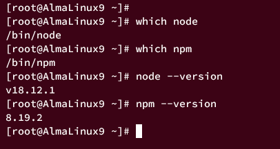 verify node.js appstream