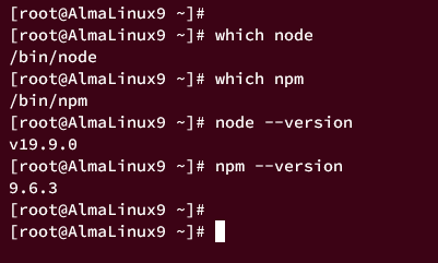 verify node.js version