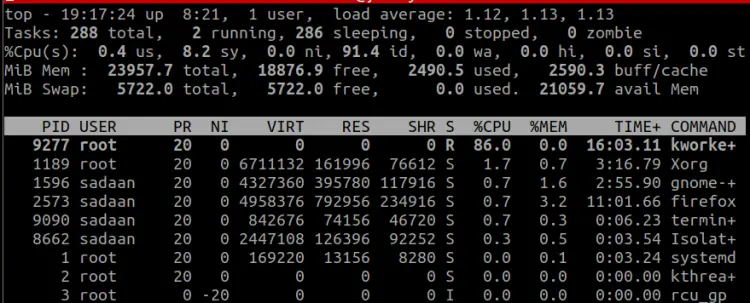 Top command output