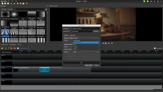 OpenShot video export.