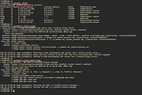 Nginx and php-fpm status