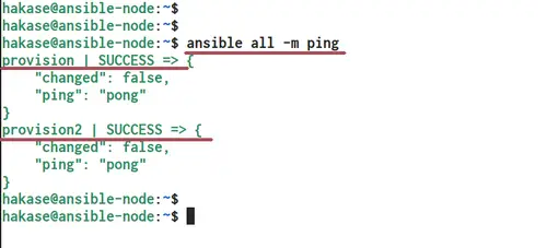 Basic ad-hoc command usage