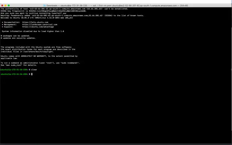 Successfully connected to the console of EC2 instance