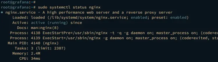 check nginx