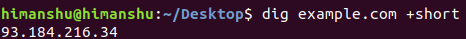 Get the IP address of a domain name