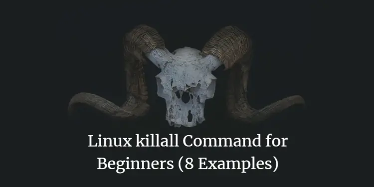 The killall command on Linux explained