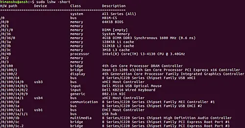 How to have device tree output showing hardware paths