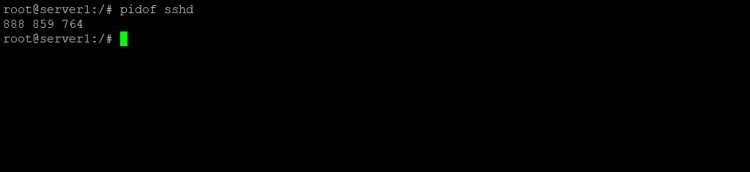 Multiple pid of a Linux program