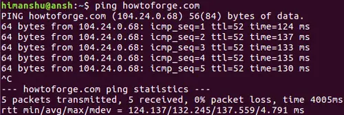 How to use ping command