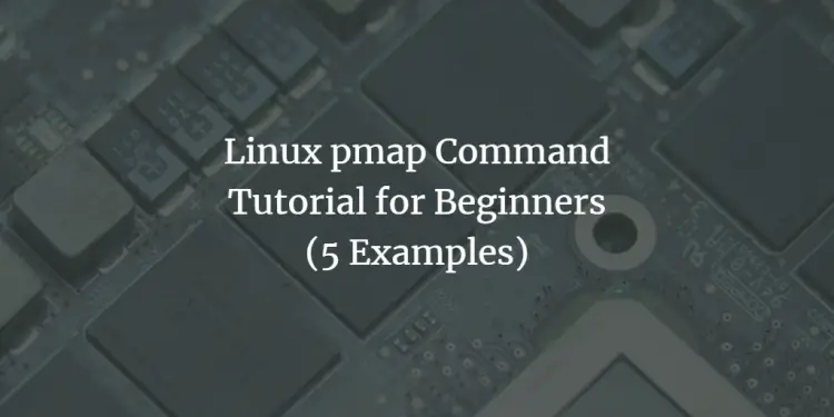 Linux pmap Command explained