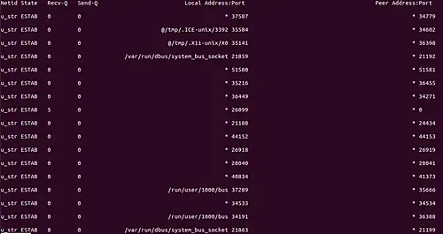 How to use ss command