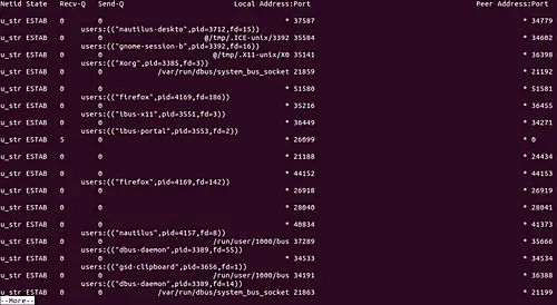 How to make ss show processes using sockets