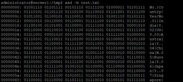 xxd -b result