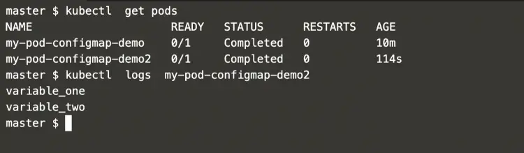 check-pod-logs-to-see-cofigmap-as-files
