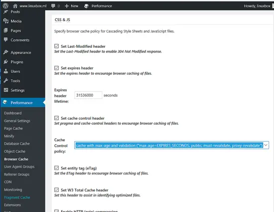 CSS & JS, XTML & XML and Media & Other Files