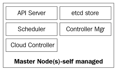 Kubernetes master nodes components