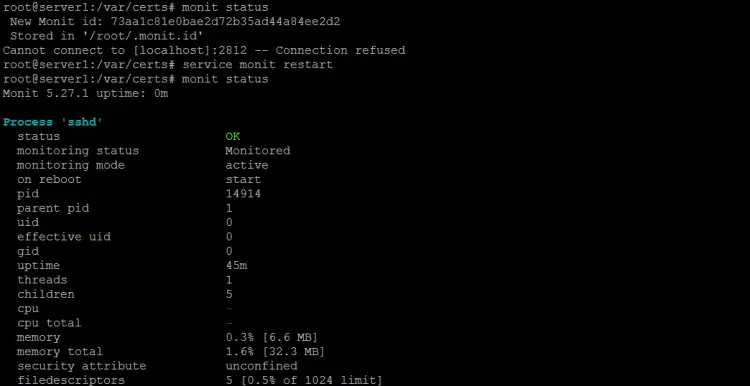 Monit status on the command line