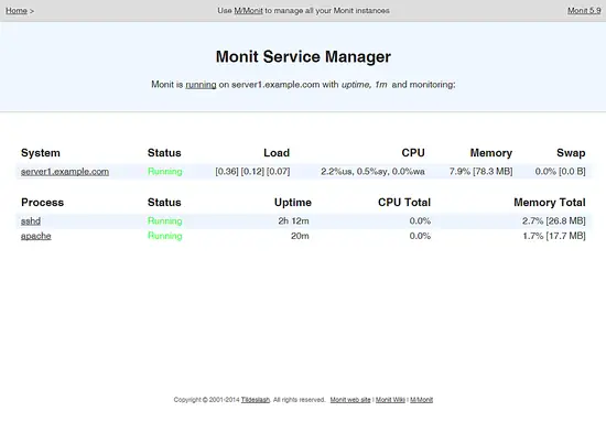 Monit service manager - main screen.