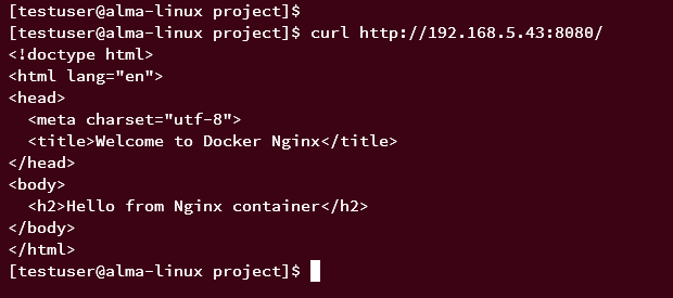 nginx container with custom index