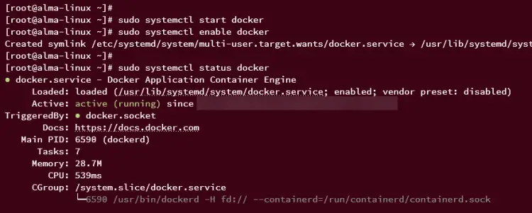 start enable and verify docker