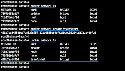 Create a Custom Network