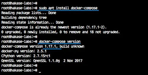 Install Docker Compose