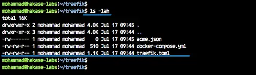 Build the container using docker compose