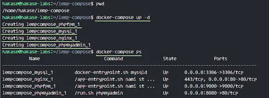 running docker-compose