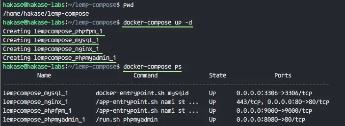 Docker ubuntu apache php mysql query