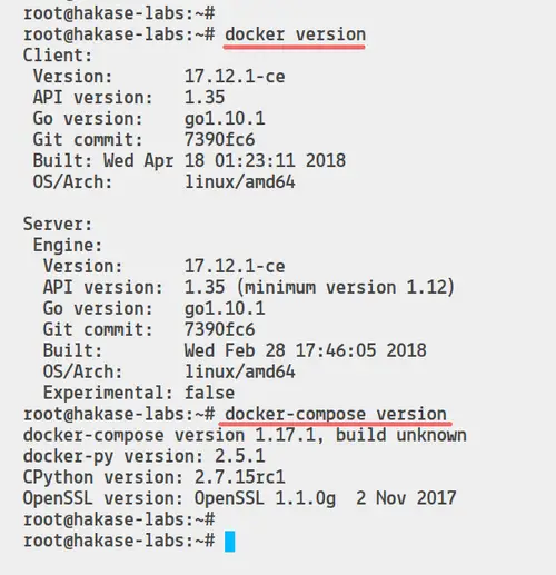 Check docker version