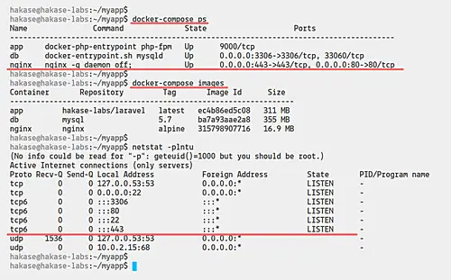 Check docker setup with netstat