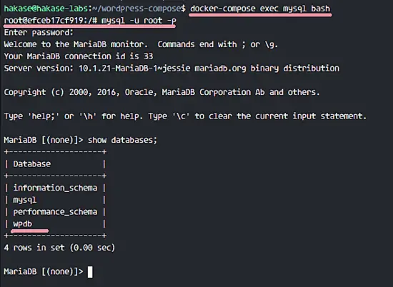 MySQL Docker Compose service