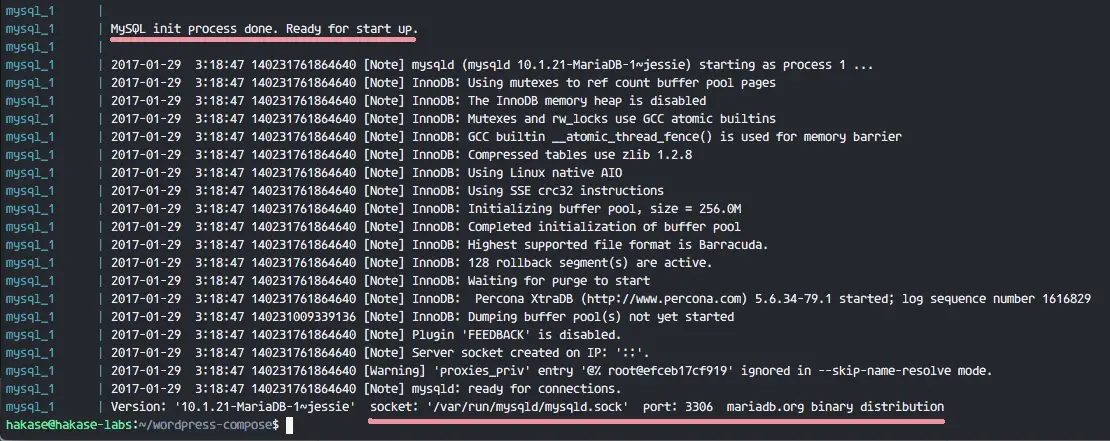 Php fpm sock. Скрин nginx php-info Ubuntu. Docker Linux nginx. Docker nginx logs. Nginx Error log example.