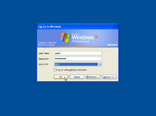 login with a domain user