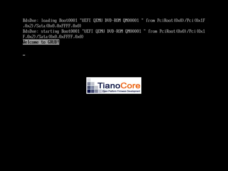 Tianocore UEFI Boot splash