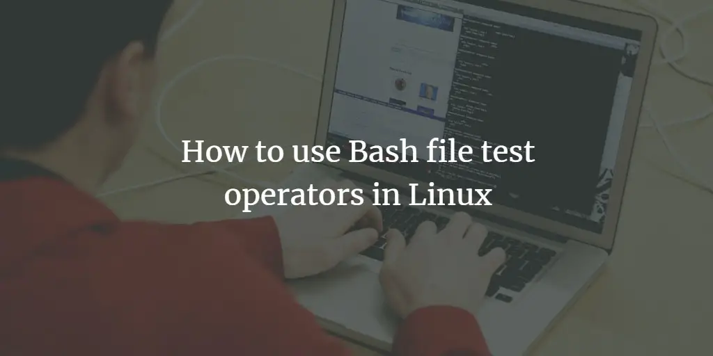 How to use Bash file test operators in Linux