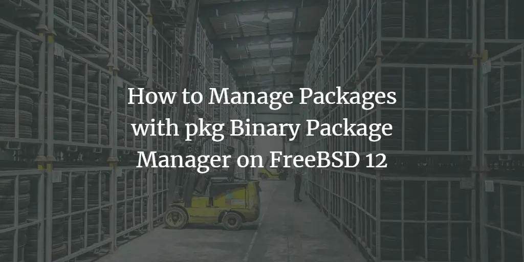 How to Manage Packages with pkg Binary Package Manager on FreeBSD 12