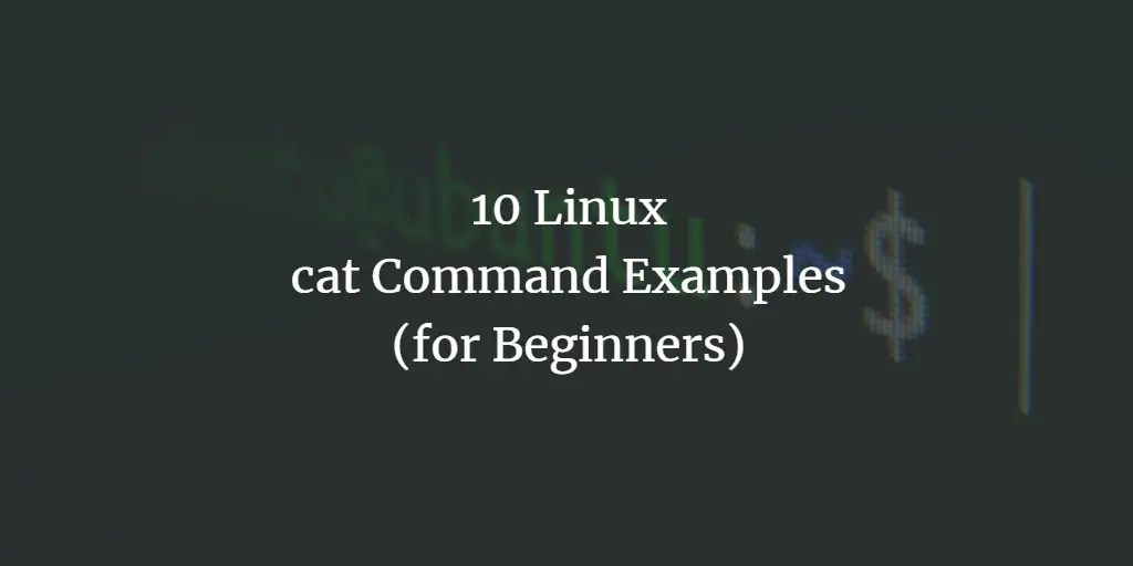 10 Linux cat Command Examples for Beginners