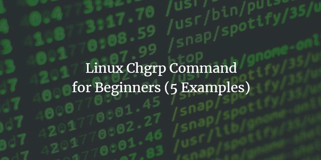 Linux Chgrp Command for Beginners (5 Examples)