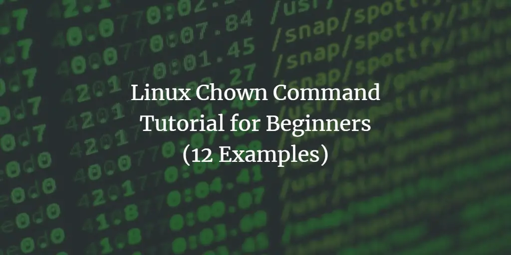 Linux Chown Command Tutorial for Beginners (12 Examples)