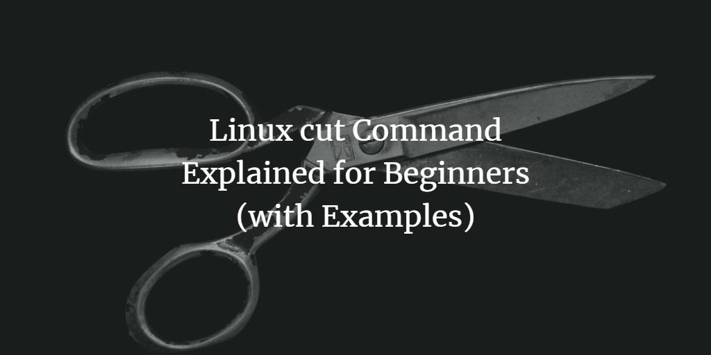 Linux cut Command Explained for Beginners (with Examples)