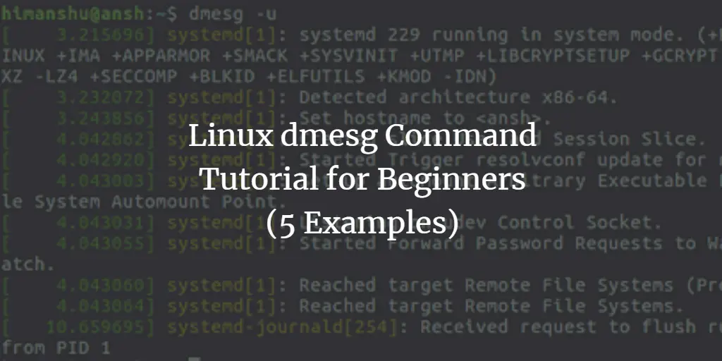 Linux dmesg Command Tutorial for Beginners (5 Examples)