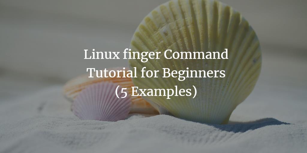 Linux finger Command Tutorial for Beginners (5 Examples)