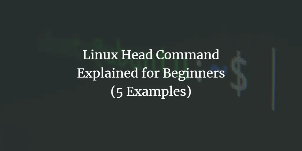 Linux Head Command Explained for Beginners (5 Examples)