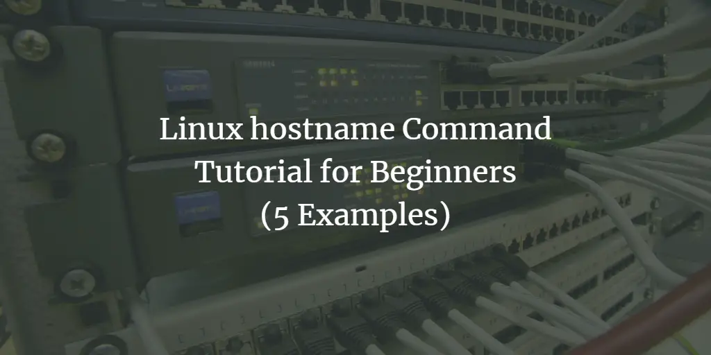 Linux hostname Command Tutorial for Beginners (5 Examples)