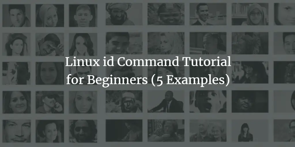 Linux id Command Tutorial for Beginners (5 Examples)