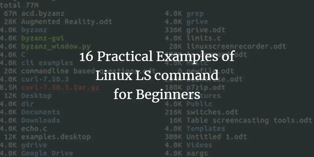 16 Practical Examples of Linux LS command for Beginners