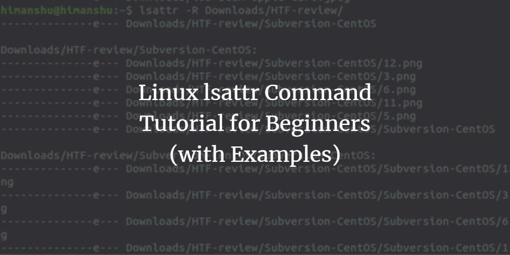 Linux lsattr Command Tutorial for Beginners (with Examples)